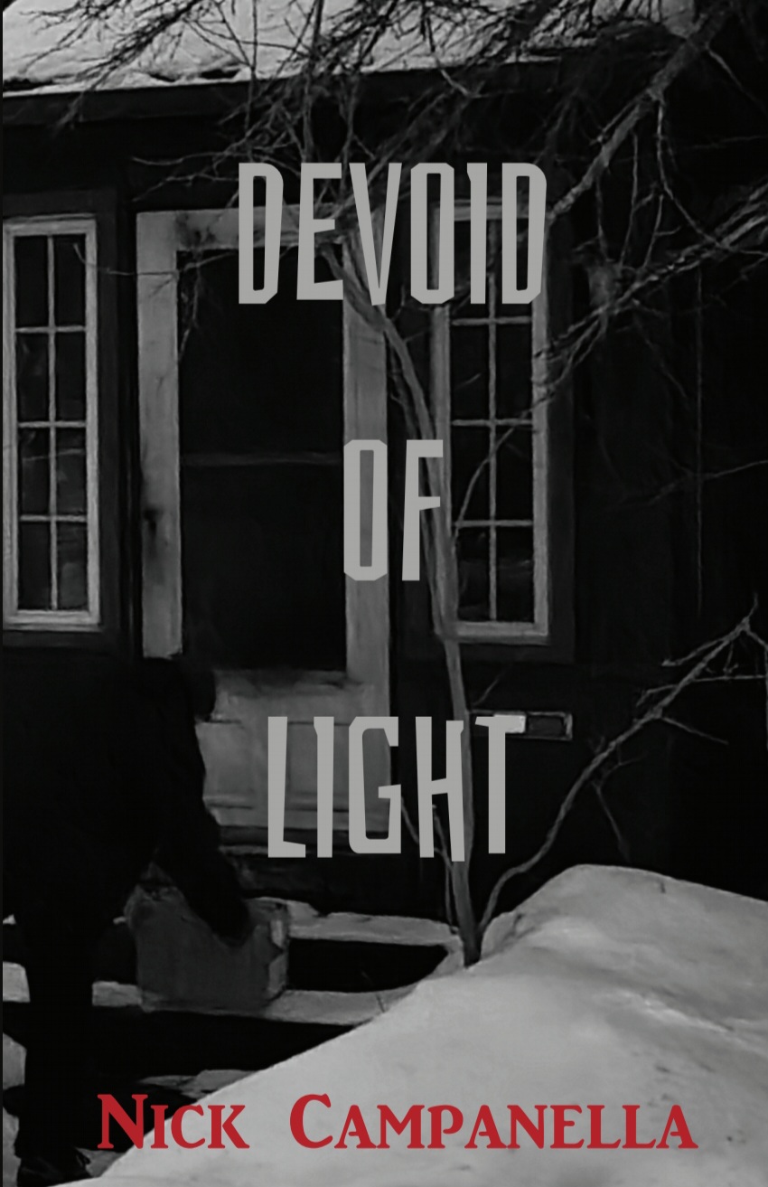 Devoid of Light book cover